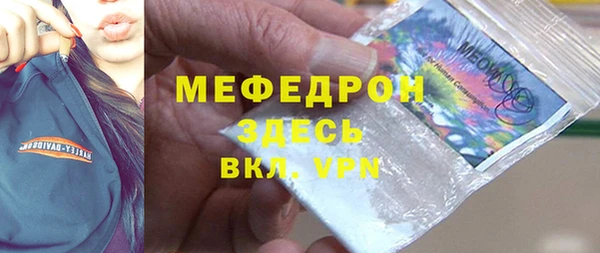 шишки Абаза
