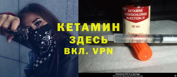 шишки Абаза