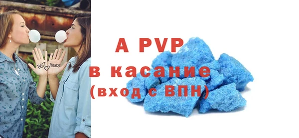 шишки Абаза