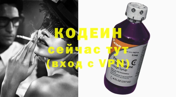 шишки Абаза