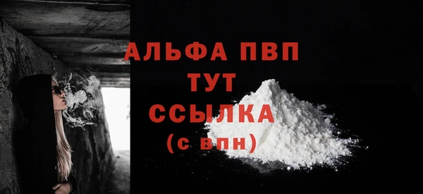 шишки Абаза