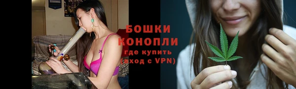 молекула духа Вяземский