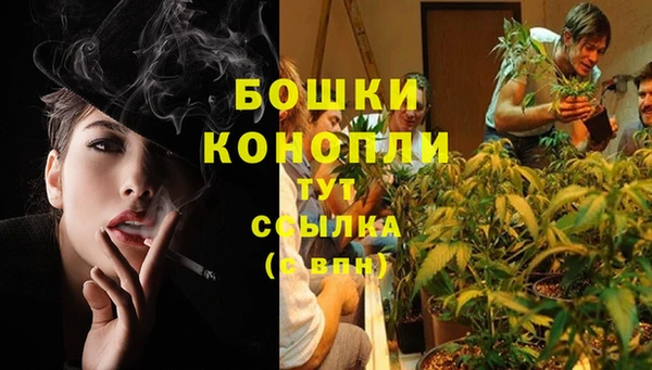 шишки Вязники