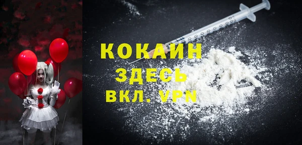 шишки Абаза