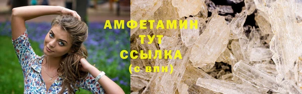 шишки Абаза