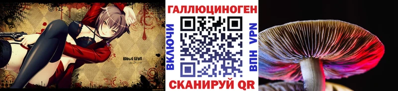 МЕГА сайт  Новочебоксарск  Псилоцибиновые грибы ЛСД 